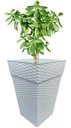 Ver imagem 3 de Vaso Médio Coluna Quadrado Rattan Para Flores Plantas 17,5 L