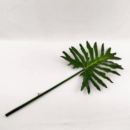 Folhagem Guaimbe Planta Artificial Permanente 85x39cm G - 7