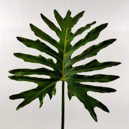 Folhagem Guaimbe Planta Artificial Permanente 85x39cm G - 2