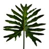 Folhagem Guaimbe Planta Artificial Permanente 85x39cm G - 1