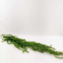 Folhagem Escura Planta Pendente Artificial Permanente 135x13 - 4