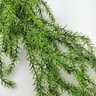 Folhagem Escura Planta Pendente Artificial Permanente 135x13 - 2