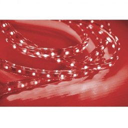 Fita LED 5W 60 LEDs 127V IP67 Taschibra - 1