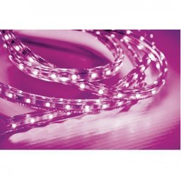 Fita LED 5W 60 LEDs caixa com 20 metros 220V IP67 Taschibra - 2