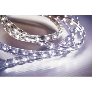 Fita LED 5W 60 LEDs Caixa com 50 Metros 127V IP67 Taschibra