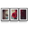 Quadro Flor Rosa Vermelha Arte Para Sala Quarto Kit 3 Peças - 1