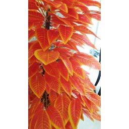 Planta Artificial Árvore CROTON SUNSHINE 1,60 metros de altura - 3