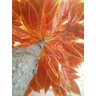 Planta Artificial Árvore CROTON SUNSHINE 1,60 metros de altura - 2