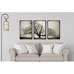 Kit Quadros Decorativos Arvore Seca Paisagem para Sala Quarto com Moldura 3 Peças 44x66cm - 1