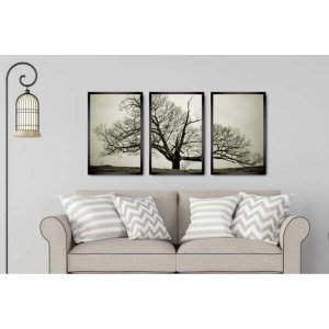 Kit Quadros Decorativos Arvore Seca Paisagem para Sala Quarto com Moldura 3 Peças 44x66cm