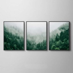 Trio de Quadros Decorativos Para Sala Estar Quarto Casal Floresta Neblina 3 Peças 44x66cm - 2