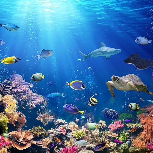 Papel de Parede 3D Oceano Peixes - Papel de Parede Paisagem