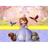 Papel de Parede Infantil Princesa Sofia 0006 - 2