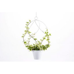 Suporte de vaso suspenso Ondas - Soluza - 1
