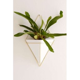 Vaso de parede Trigg Grande Branco - Umbra - 2