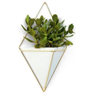 Vaso de parede Trigg Grande Branco - Umbra