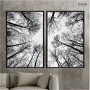 Ver imagem 2 de Kit 02 Quadros Decorativos - Galhos de Arvores Vista Inferior Flnt038 - Vidro - 40x60cm