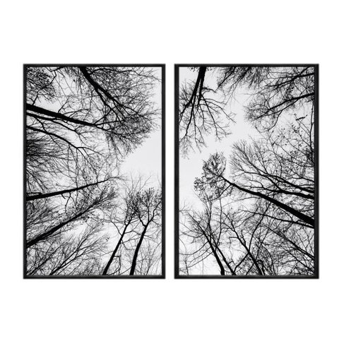Kit 02 Quadros Decorativos - Galhos de Arvores Vista Inferior Flnt038 - Vidro - 40x60cm