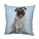 Ver imagem 1 de Almofada Pug