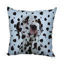 Ver imagem 2 de Almofada Pet Doberman