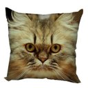 Ver imagem 1 de Almofada Gato Persa