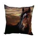 Ver imagem 1 de Almofada Cavalo Manga Larga