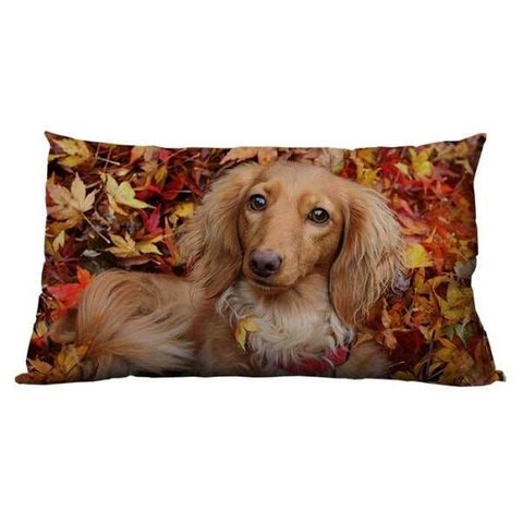 Almofadão Pet Cocker