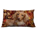 Ver imagem 2 de Almofadão Pet Cocker