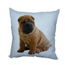 Ver imagem 1 de Almofada Pet Sharpey