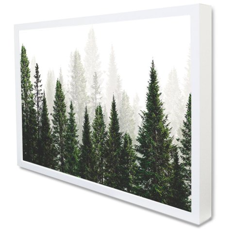 Quadro Decorativo Caixa Árvores Tacolado Moldura Caixa 3cm Branca com Vidro 30 X 40cm