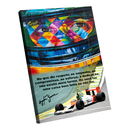 Ver imagem 1 de Quadro Senna -- Br Artes
