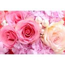 Ver imagem 3 de Papel De Parede 3D | Flores 0024 - papel de parede de flores