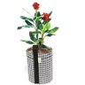 Vaso De Plantas 20 Litros Moderno Branco e Preto - 1