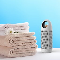 Desumidificador Portatil - Ropo Secapro 220v - 5