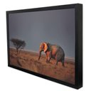 Ver imagem 3 de Quadro Decorativo Elefante na Savana em Moldura Caixa Tacolado Moldura Trad 1cm Madeira Escura com V