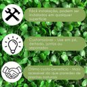 Ver imagem 5 de 11 Painéis de Folhagens Verdes de Buxinho Permanentes para Jardim Vertical Beleza em Sua Decoração