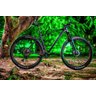BICICLETA 29 OGGI BIG WHEEL 7.6 XT 12v 10-51 - 19 - 2