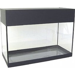 Aquário para peixes com iluminação, decoração e filtro 22,5 litros - 220V - 5