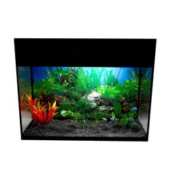Aquário para peixes com iluminação, decoração e filtro 22,5 litros - 220V - 1