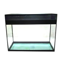 Aquário para peixes com iluminação, decoração e filtro 22,5 litros - 220V - 2