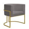 Kit 2 Poltronas Decorativa Nayara Base Ferro Dourado Twdecora Suede - 2