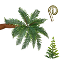 Ver imagem 4 de Kit 5 Buquês de Samambaia Artificial Decorativa Realista para Ambientes Modernos