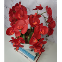 Ver imagem 2 de Arranjo Com 4 Orquídeas Vermelha Vaso Ceramica 28cm