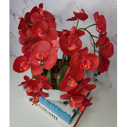 Arranjo Com 4 Orquídeas Vermelha Vaso Ceramica 28cm - 2