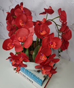 Ver imagem 2 de Arranjo Com 4 Orquídeas Vermelha Vaso Ceramica 28cm