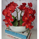 Ver imagem 3 de Arranjo Com 4 Orquídeas Vermelha Vaso Ceramica 28cm