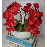 Arranjo Com 4 Orquídeas Vermelha Vaso Ceramica 28cm - 3