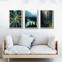 Ver imagem 1 de Kit 3 Quadros Decorativos Natureza- Florestas 33x24cm:madeira Branca