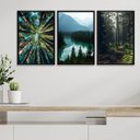 Ver imagem 2 de Kit 3 Quadros Decorativos Natureza- Florestas 33x24cm:madeira Branca
