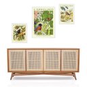 Ver imagem 2 de Set 3 Quadros Pássaros Flores e Frutas - com Vidro:moldura Preta